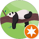 Denny profile picture